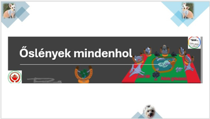 Jókai Művészeti Alkotópályázat Pályázat címe: Őslények mindenhol